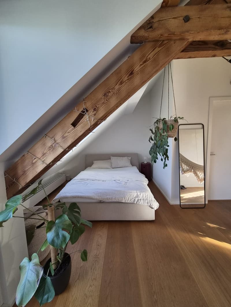 Charmante Dachwohnung im trendigen Kreis 5 direkt gegenüber der Josefwiese (7)