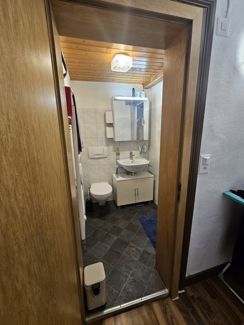1 Zimmer-Wohnung, 8840 Einsiedeln (2)