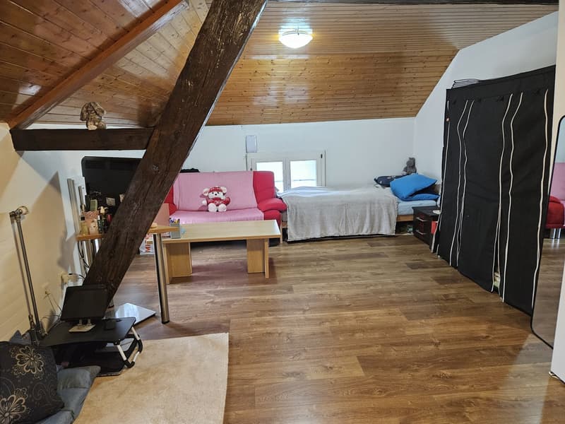 1 Zimmer-Wohnung, 8840 Einsiedeln (5)