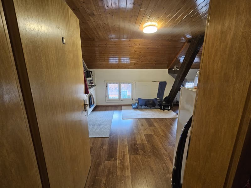 1 Zimmer-Wohnung, 8840 Einsiedeln (4)