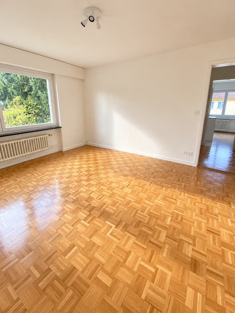 3 Zimmer-Wohnung, 8820 Wädenswil (8)