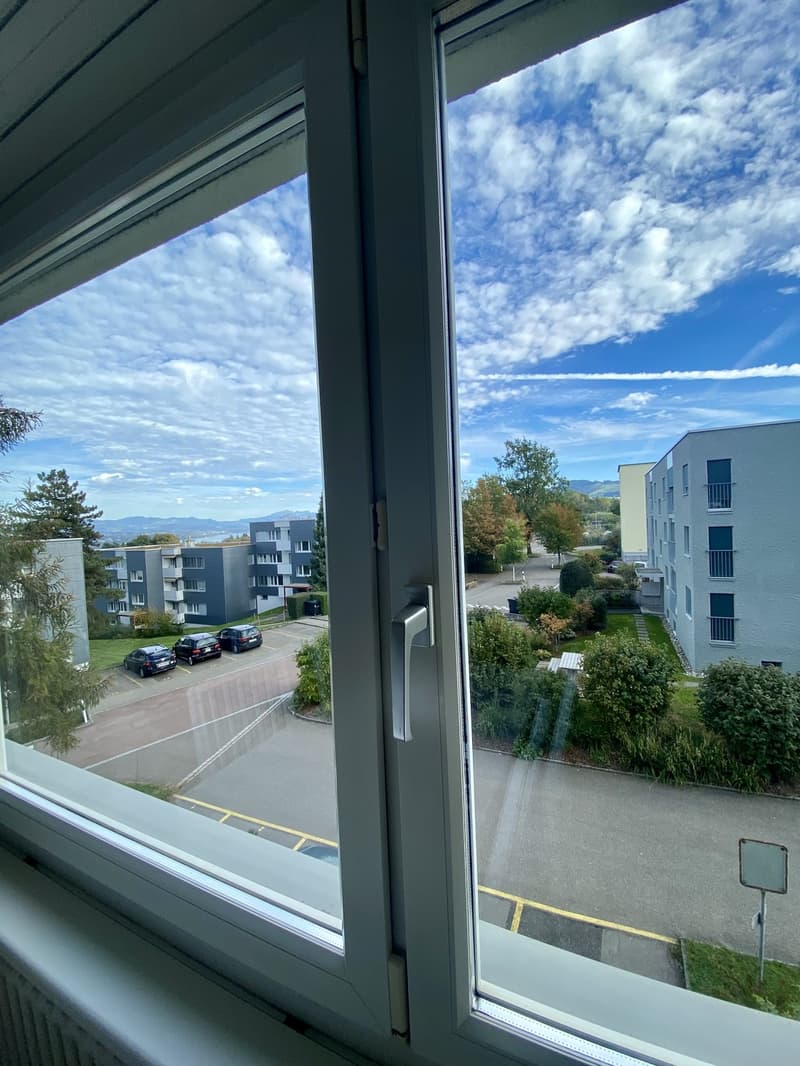 3 Zimmer-Wohnung, 8820 Wädenswil (2)
