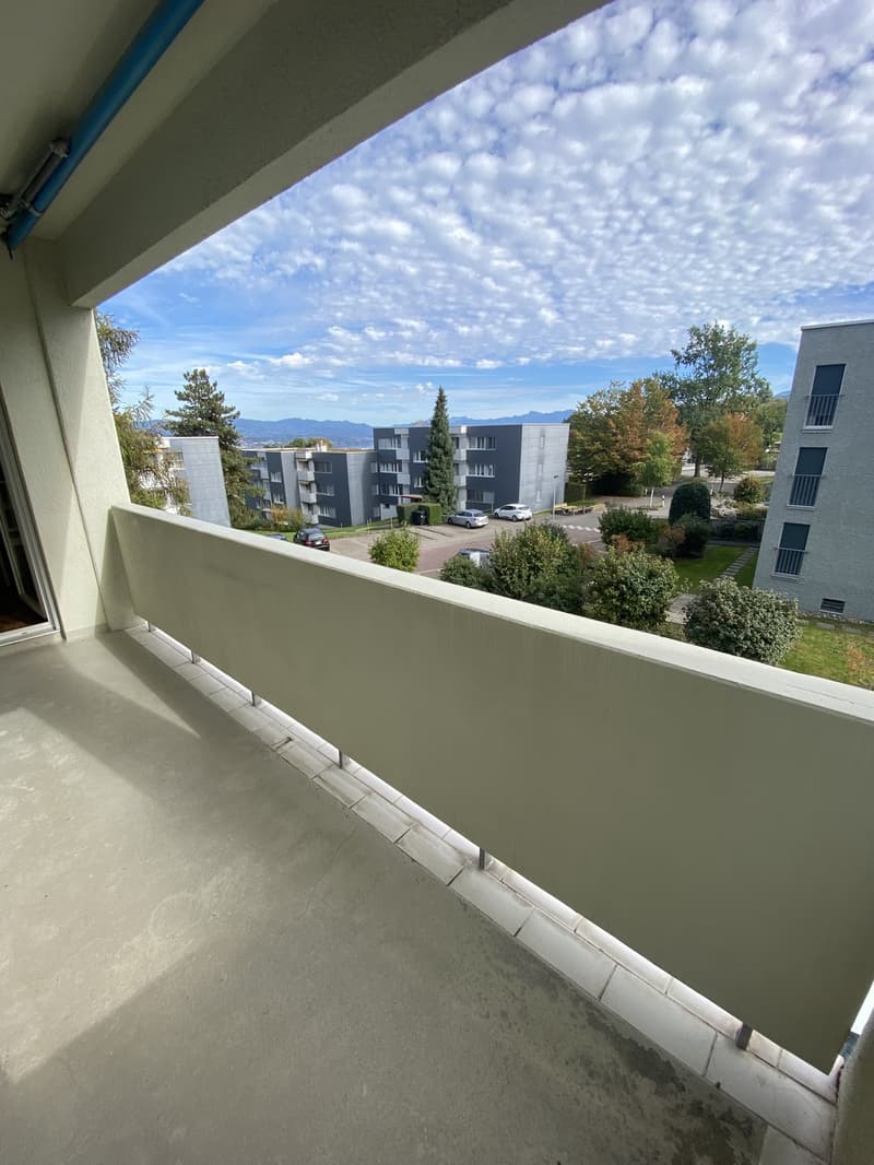 3 Zimmer-Wohnung, 8820 Wädenswil (3)
