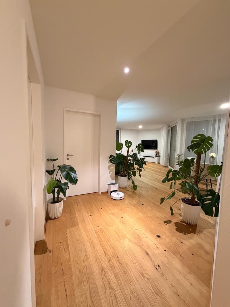 2,5 Zi. Briegli Park Düdingen (1)