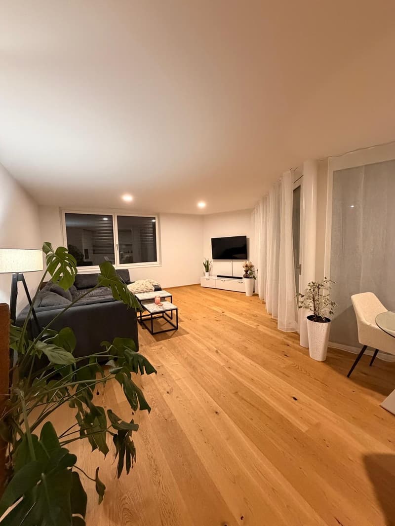 2,5 Zi. Briegli Park Düdingen (2)