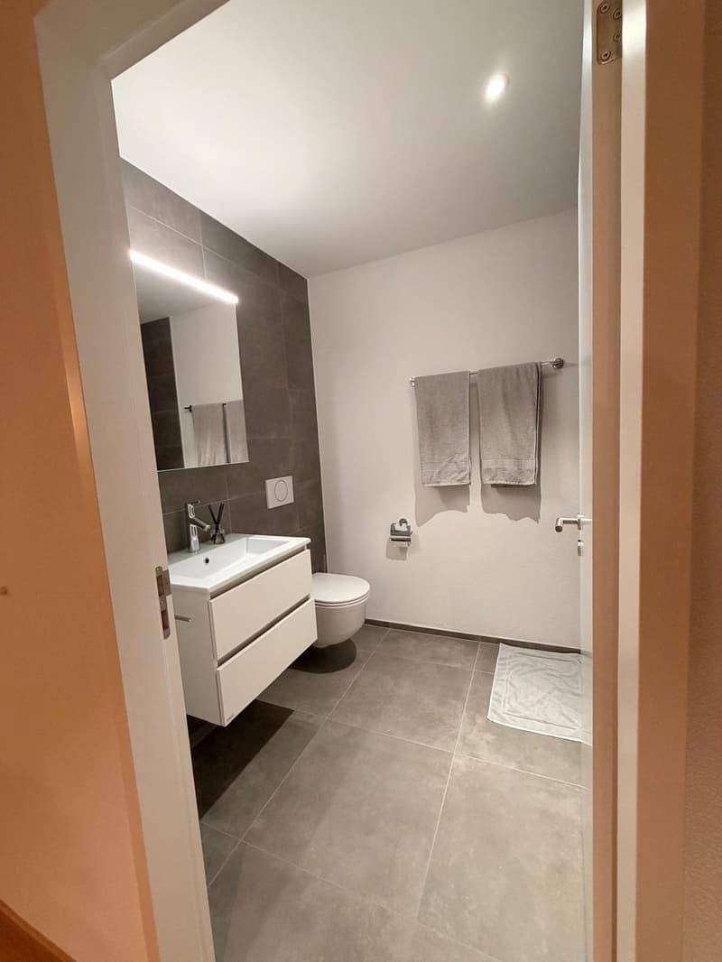 2,5 Zi. Briegli Park Düdingen (4)