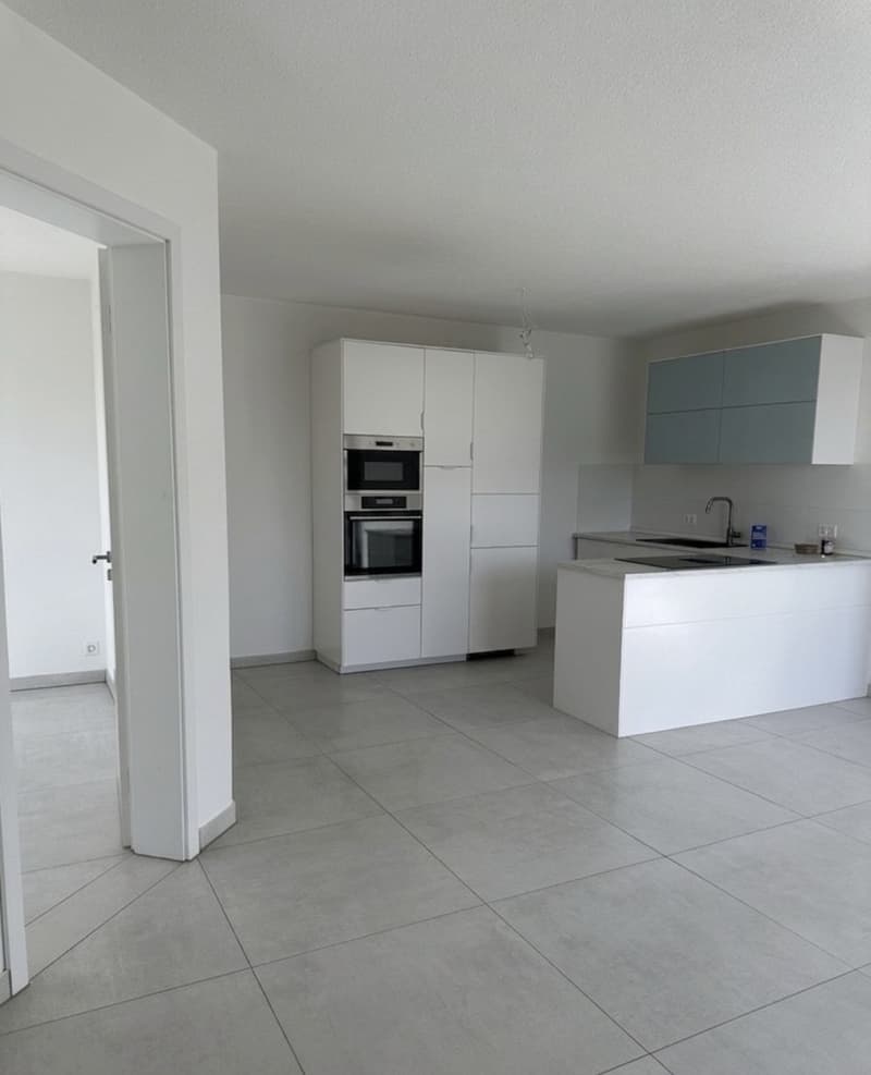 Modern apartment in a prime location (1)