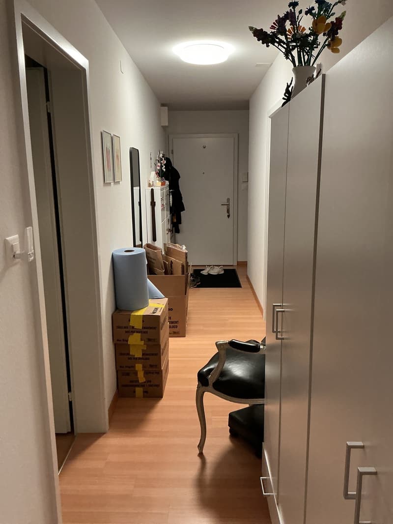 Drei Zimmer Wohnung im Erdgeschoss in Glattbrugg (4)