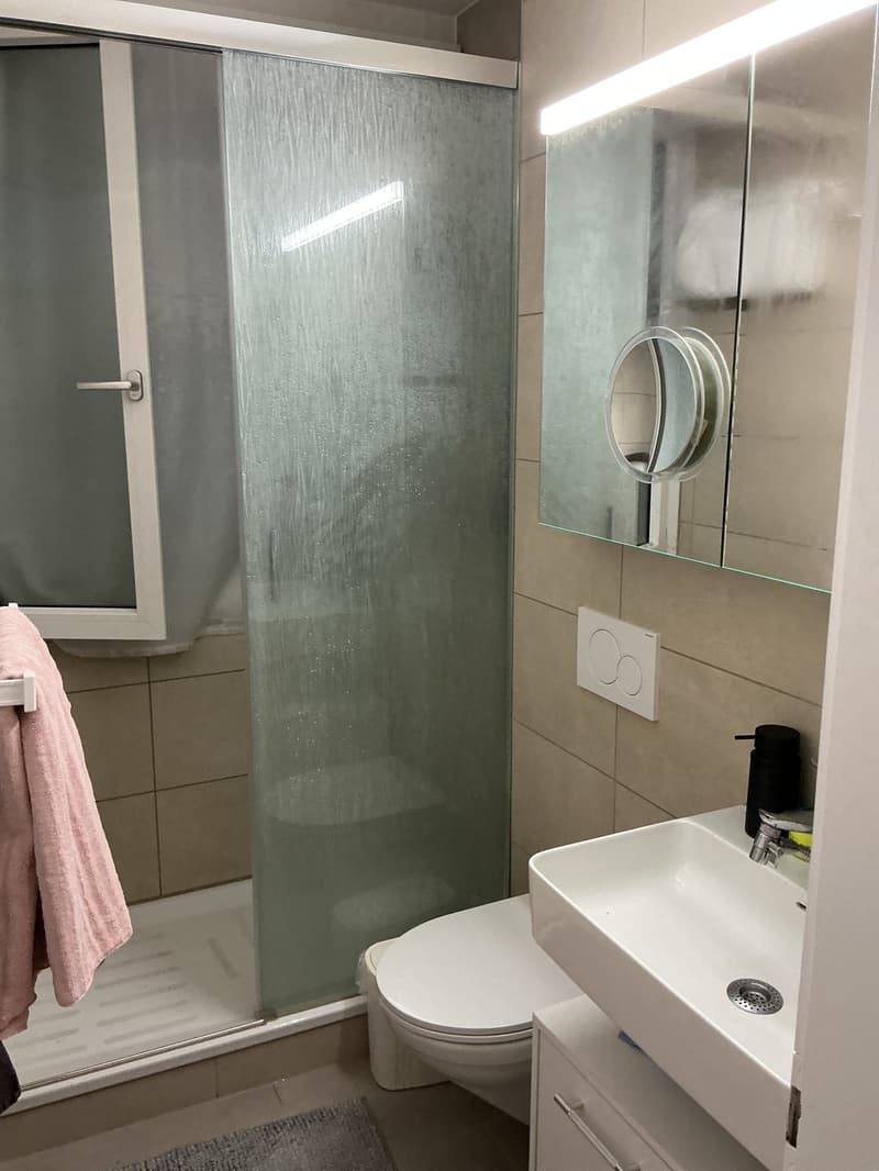 Drei Zimmer Wohnung im Erdgeschoss in Glattbrugg (5)