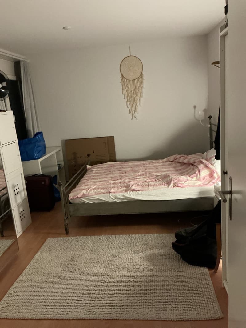 Drei Zimmer Wohnung im Erdgeschoss in Glattbrugg (2)