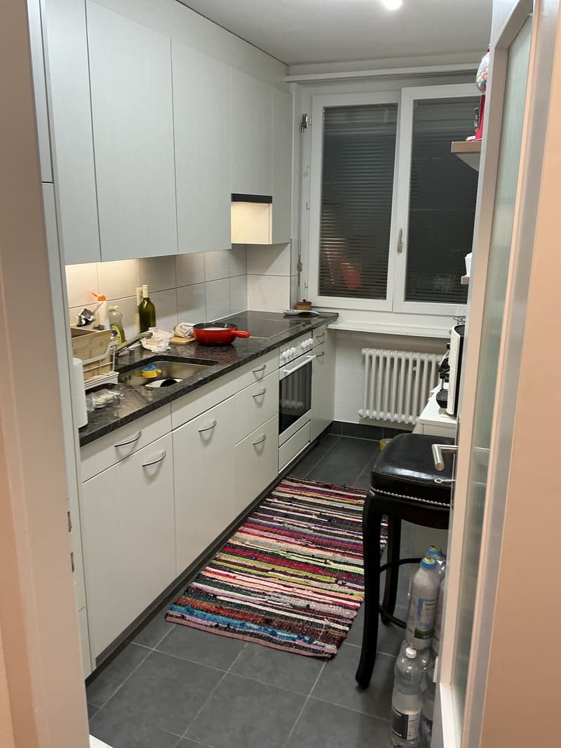 Drei Zimmer Wohnung im Erdgeschoss in Glattbrugg (6)