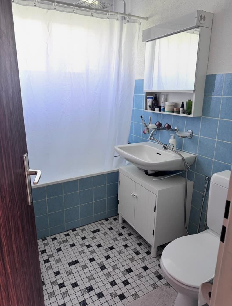 Schöne 4,5-Zimmer-Wohnung mit Balkon, Terrasse und privatem Garten in Udligenswil (4)