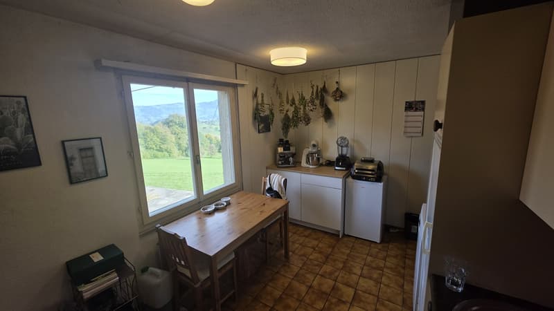 Schöne 4,5-Zimmer-Wohnung mit Balkon, Terrasse und privatem Garten in Udligenswil (10)