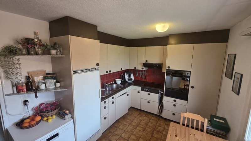 Schöne 4,5-Zimmer-Wohnung mit Balkon, Terrasse und privatem Garten in Udligenswil (9)