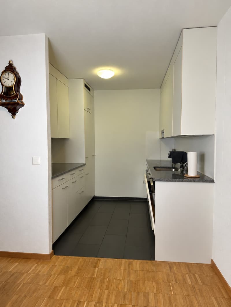 Helle 2.5-Zimmer-Wohnung mit 2 Balkonen in Zürich-Leimbach (1)