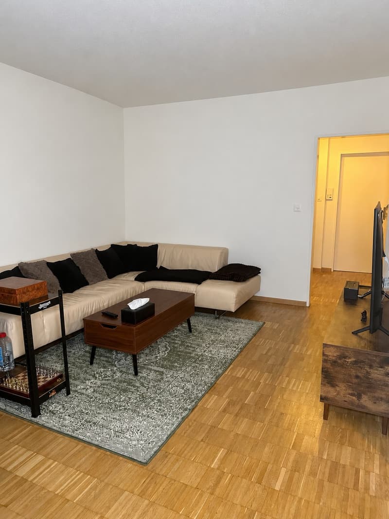 Helle 2.5-Zimmer-Wohnung mit 2 Balkonen in Zürich-Leimbach (2)