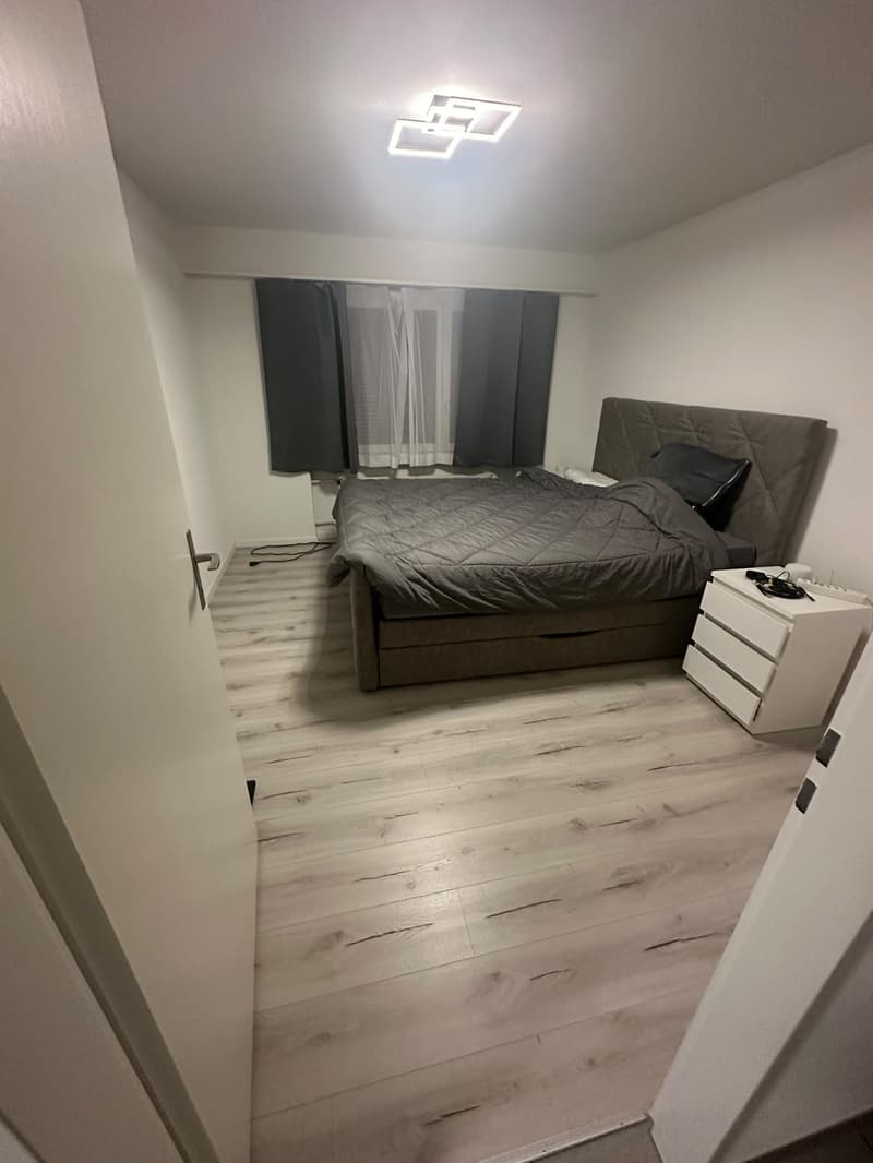 Renovierte 3.5-Zimmer-Wohnung mit gedecktem Balkon und Lift (7)