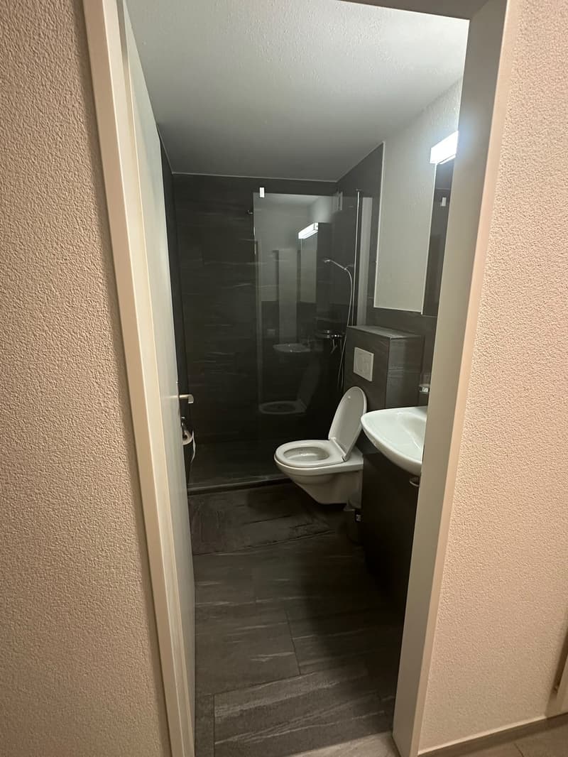Renovierte 3.5-Zimmer-Wohnung mit gedecktem Balkon und Lift (12)