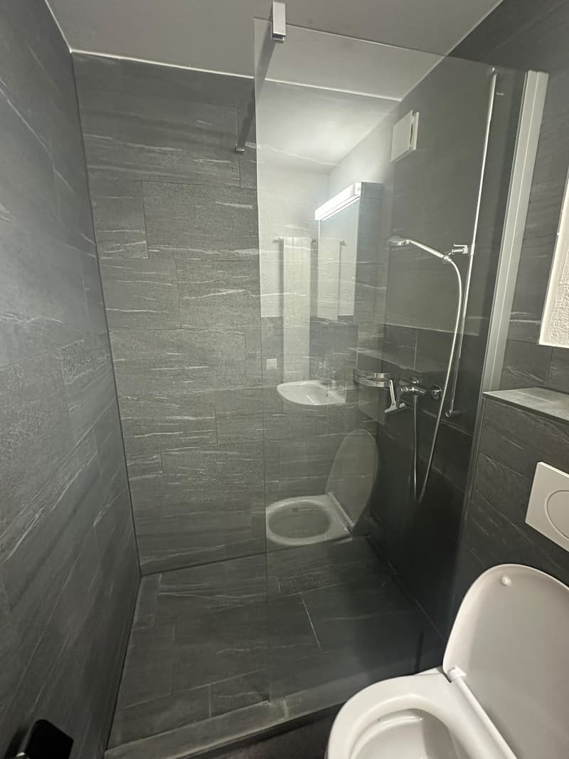Renovierte 3.5-Zimmer-Wohnung mit gedecktem Balkon und Lift (10)