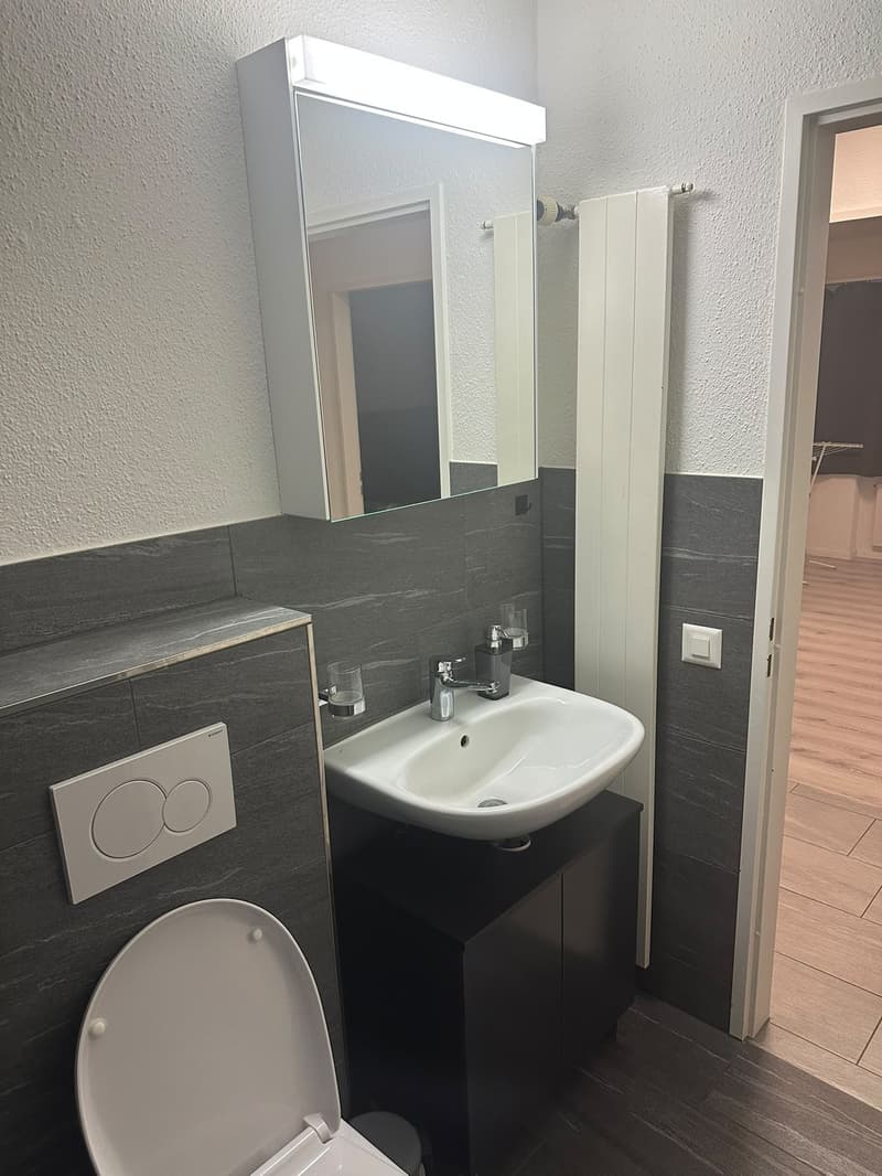 Renovierte 3.5-Zimmer-Wohnung mit gedecktem Balkon und Lift (11)