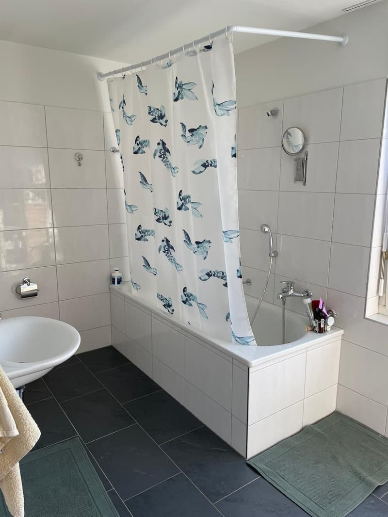 Two Rooms in a shared flat in Winterthur (3)