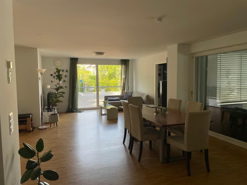 Two Rooms in a shared flat in Winterthur (1)