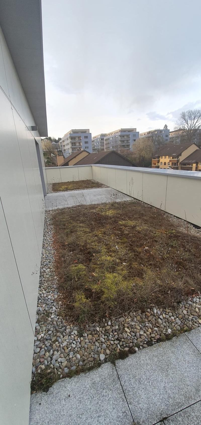 Grosszügige 4.5-Zimmer-Attikawohnung mit 150 m² Terrasse (10)