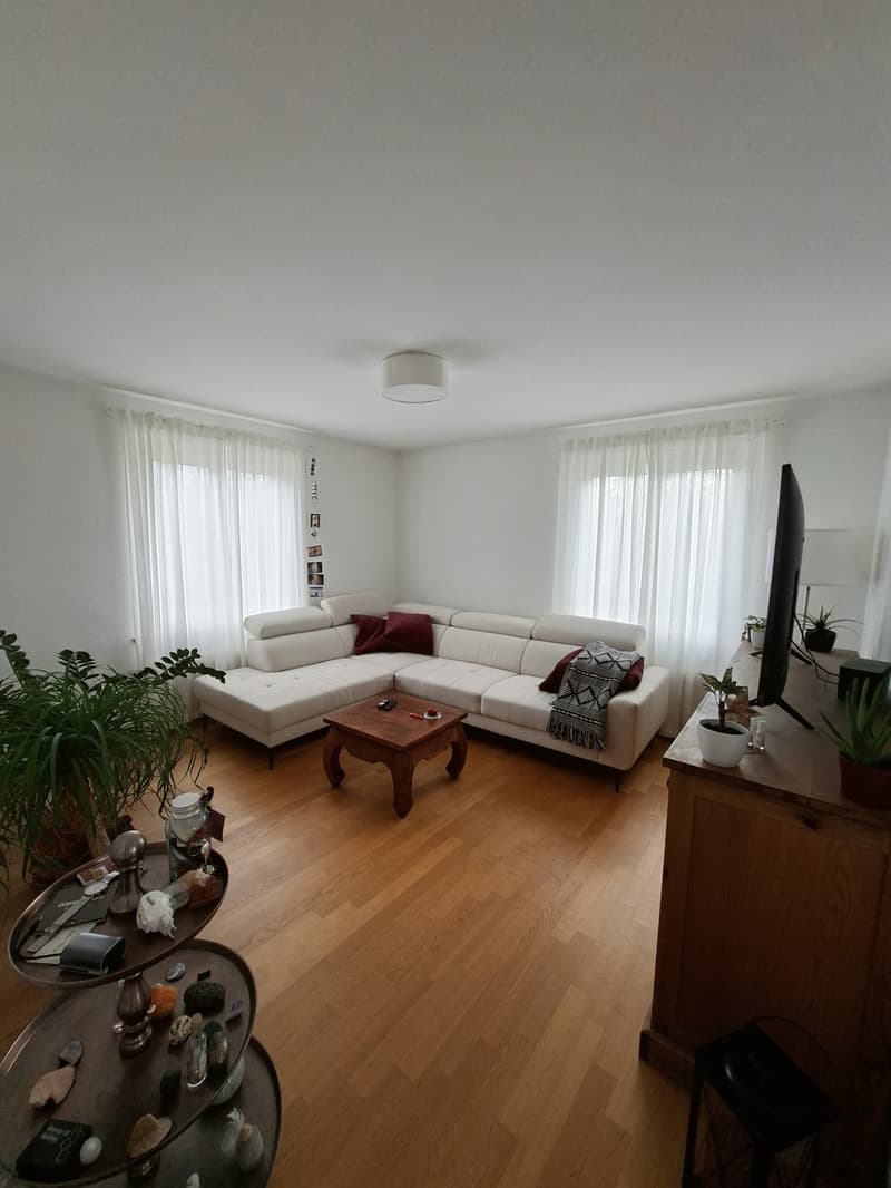 3-Zimmer Wohnung sucht Nachmieter (6)