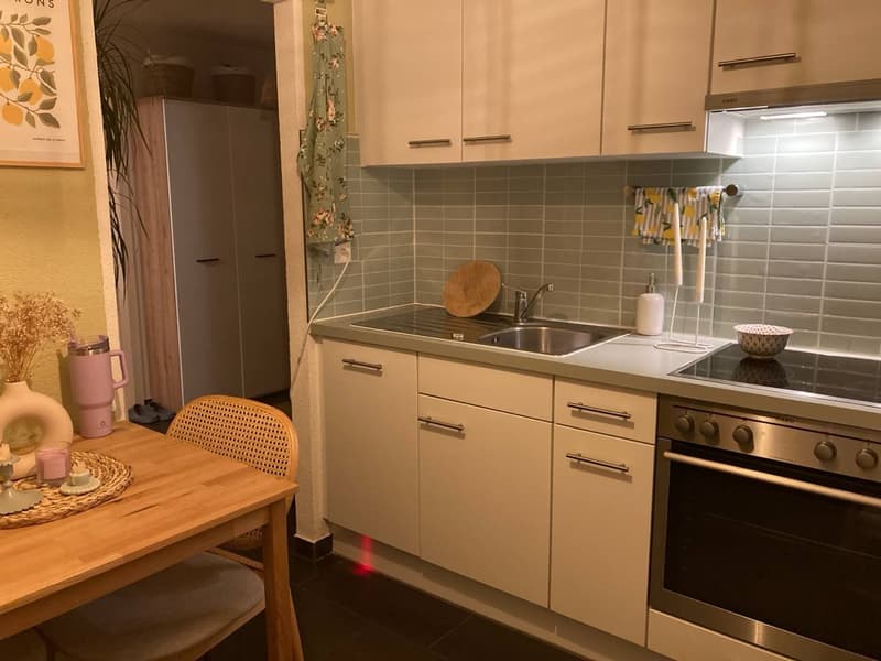 Gemütliche 2,5 Zimmer Wohnung (12)