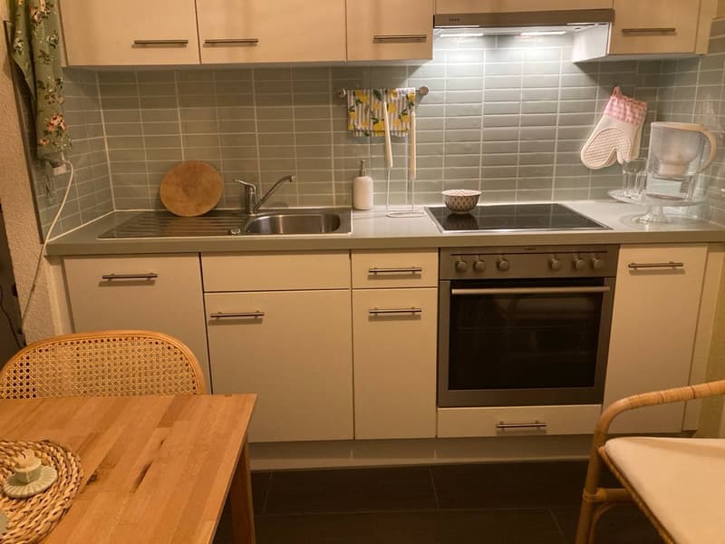 Gemütliche 2,5 Zimmer Wohnung (13)