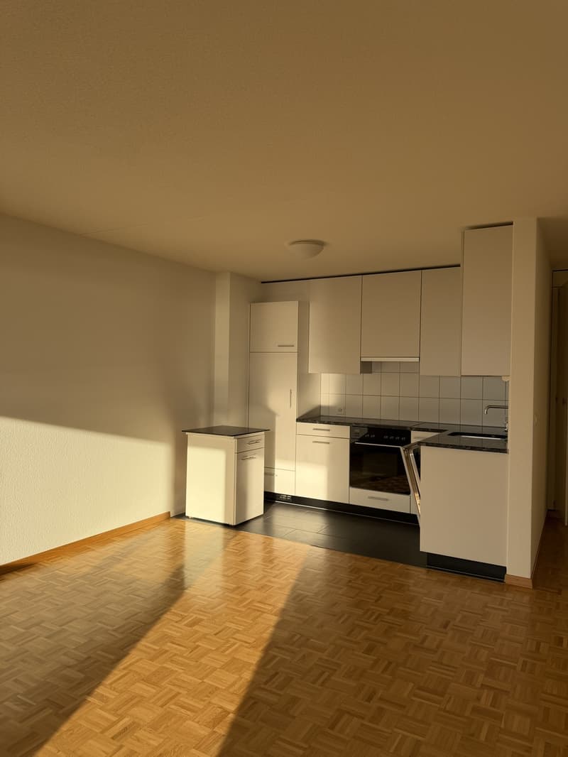 Sublet: Bright 2-room apartment with lake view in Zug (5)