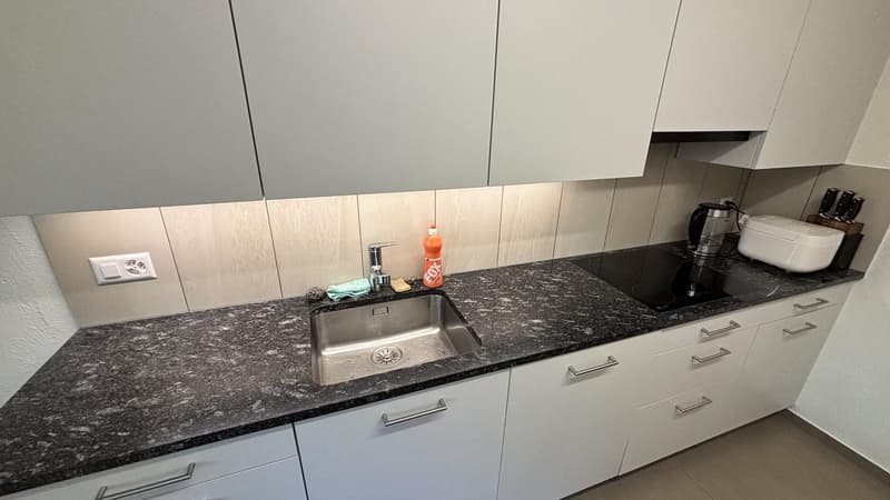Gemütliche 2.5-Zimmer-Wohnung mit privatem Gartensitzplatz und Rasen in Samstagern (9)