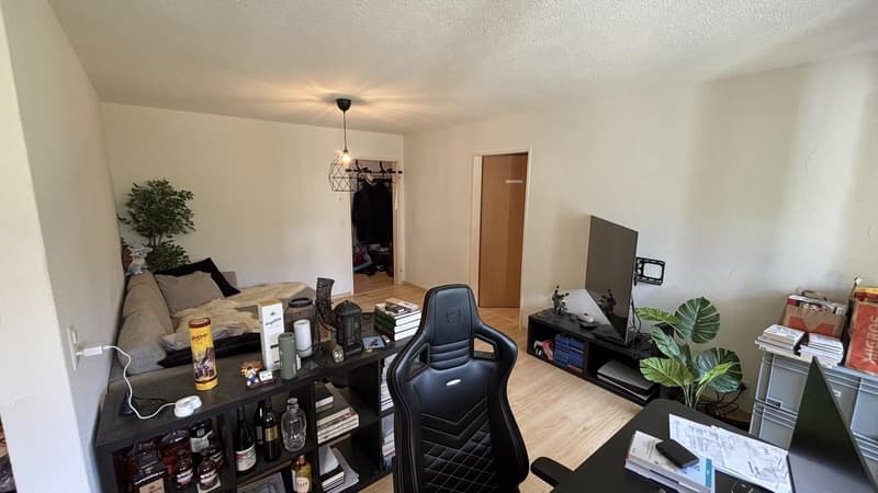 Gemütliche 2.5-Zimmer-Wohnung mit privatem Gartensitzplatz und Rasen in Samstagern (5)