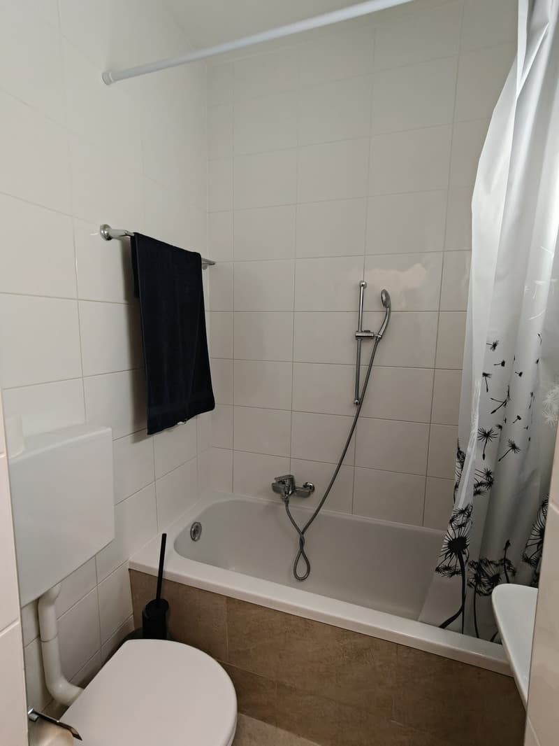 3-Zimmer-Wohnung an zentraler Lage in Biel zu vermieten (11)
