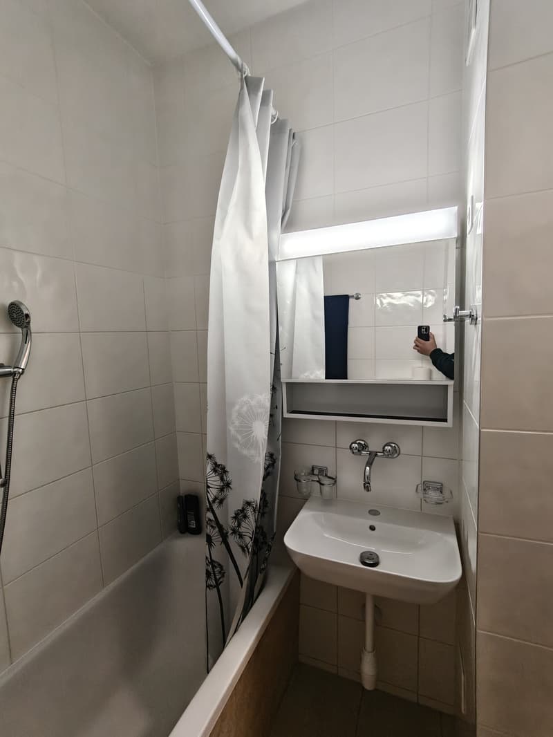 3-Zimmer-Wohnung an zentraler Lage in Biel zu vermieten (10)