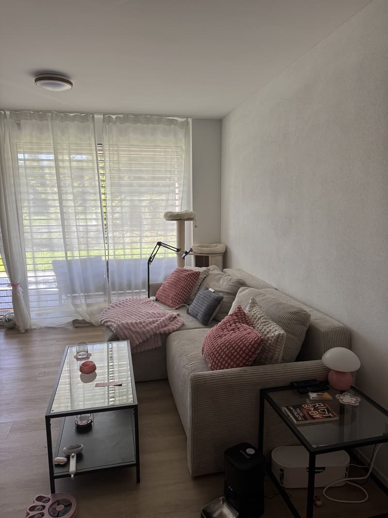 Nachmieter gesucht: Grosszügige 2.5 Zimmerwohnung in Altstätten SG (7)