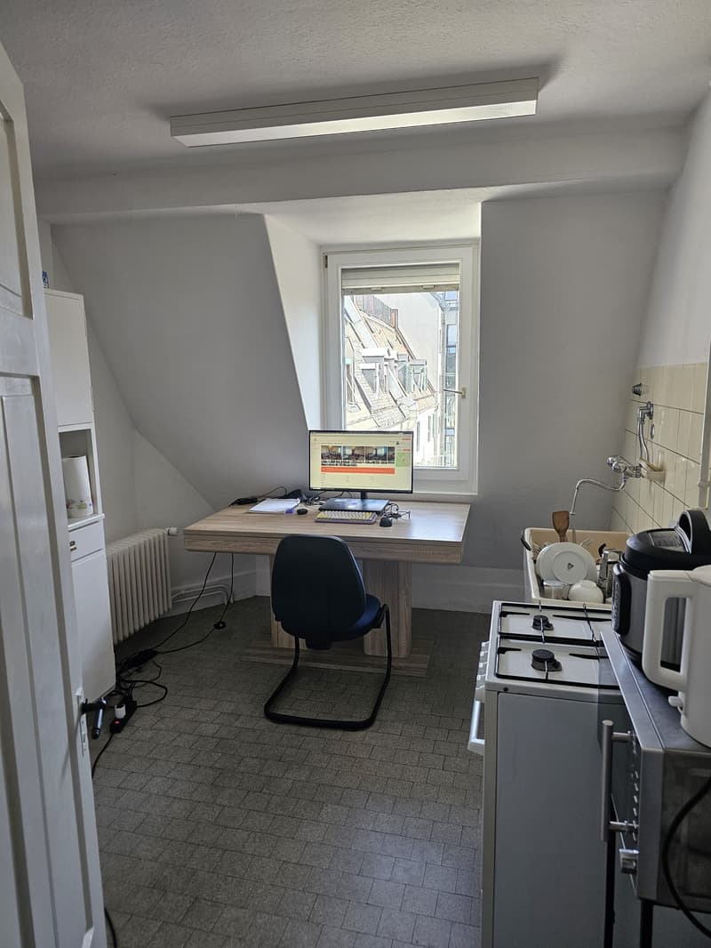 2-Room Apartment in Zurich-Altstetten 1790 CHF Incl. Utilities (2)