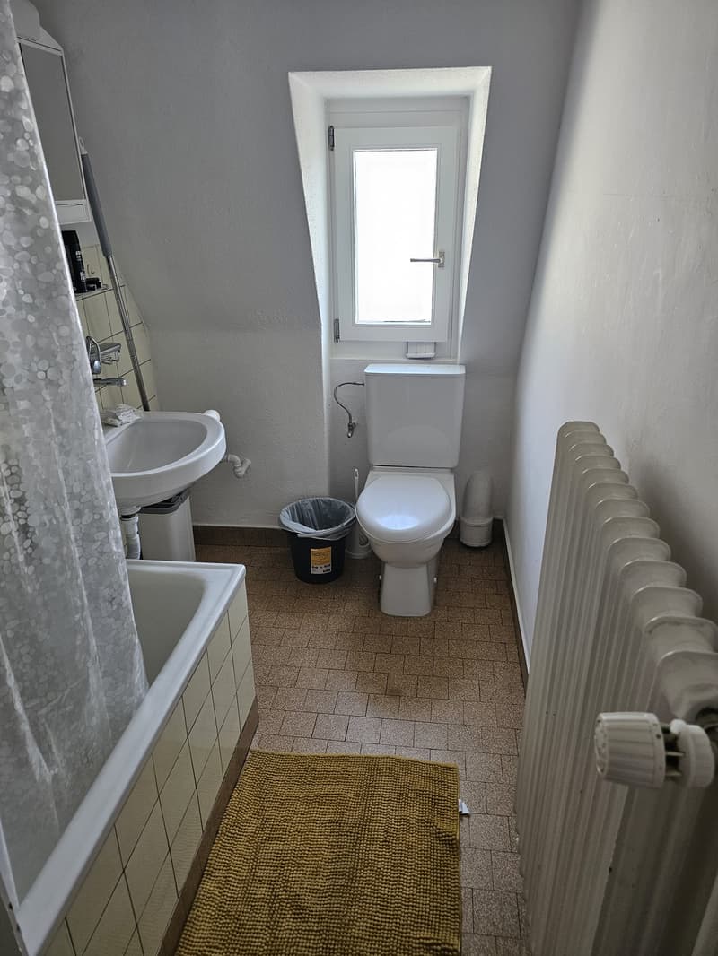 2-Room Apartment in Zurich-Altstetten 1790 CHF Incl. Utilities (4)