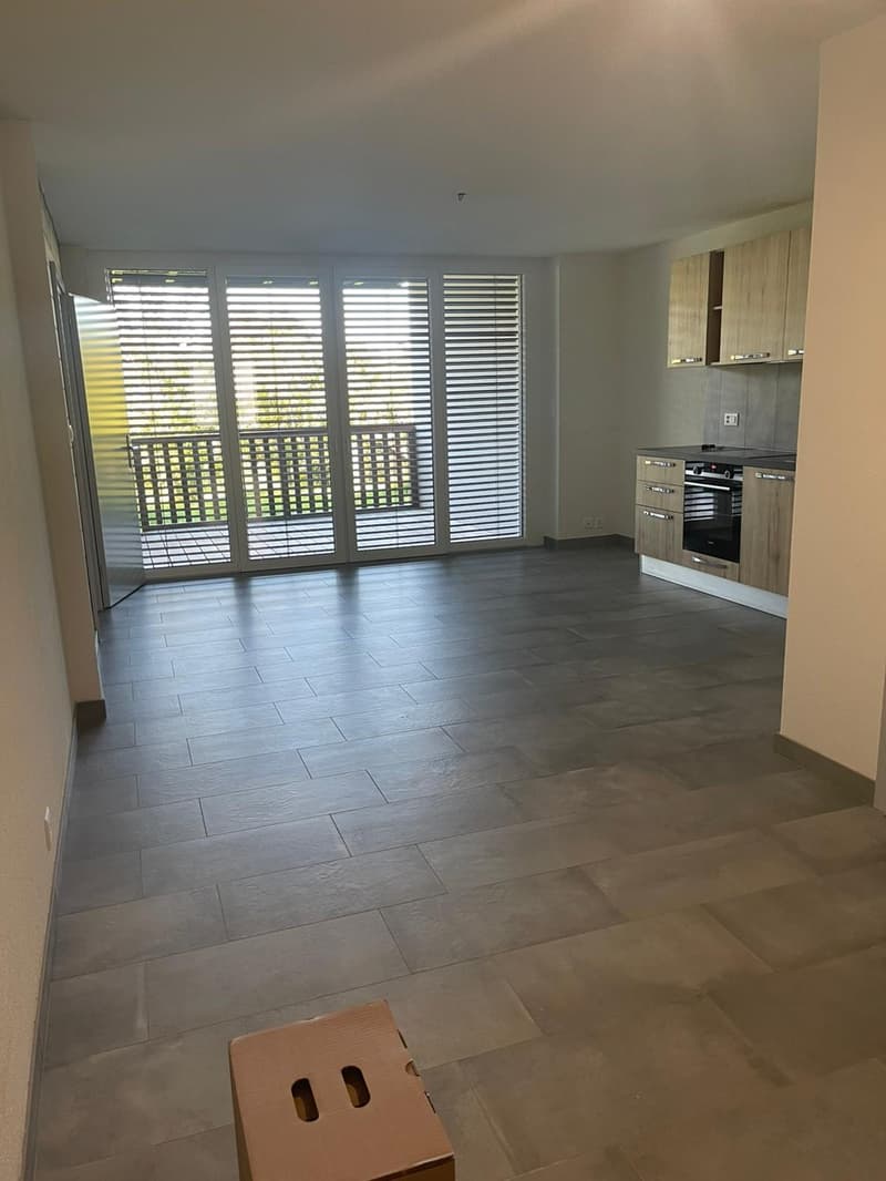 À REMETTRE Joli 2,5 pièces avec balcon sans vis-à-vis à Boudevilliers (1)