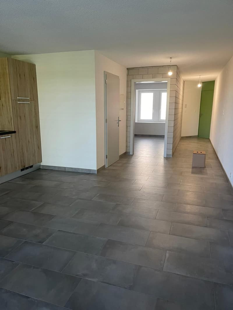 À REMETTRE Joli 2,5 pièces avec balcon sans vis-à-vis à Boudevilliers (3)
