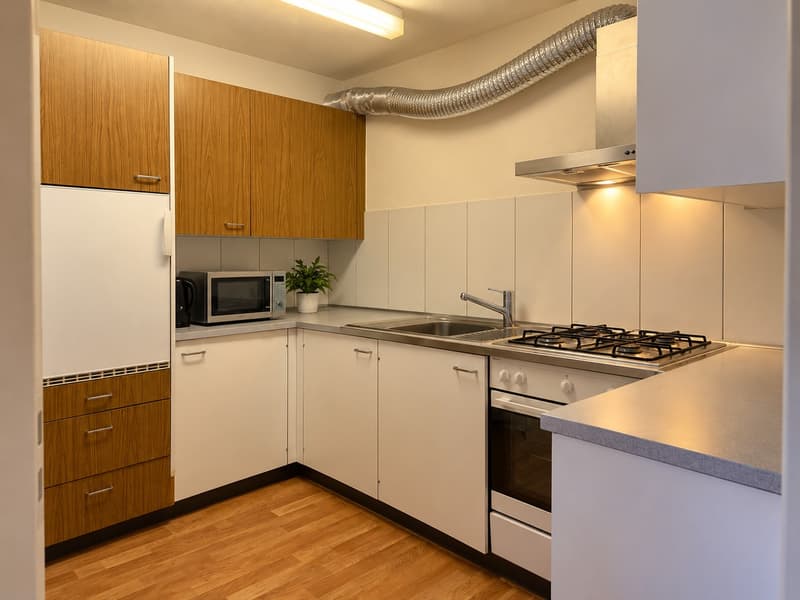 Nachmieter gesucht ab 01.11.2026 Wohnung mit Balkon in Au ZH (2)