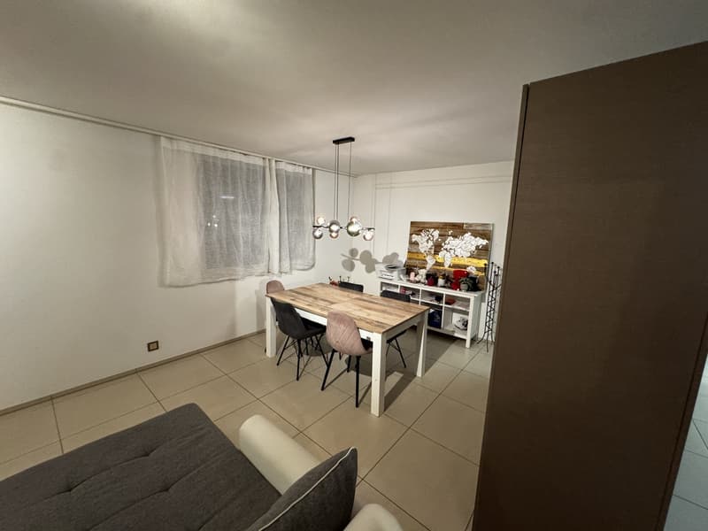 WG-Zimmer in moderner Wohnung mit Garten Winterthur-Wülflingen (13)