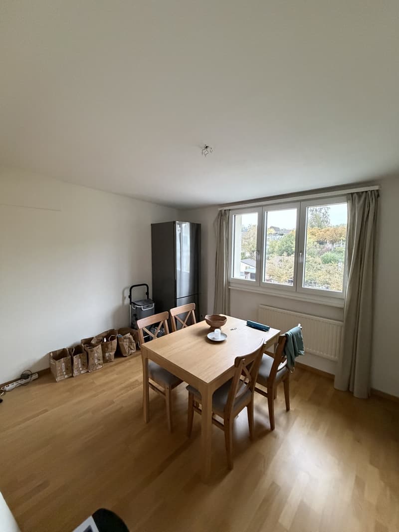 2.5 Room Apartment in Wallisellen - Furniture for Sale (5)