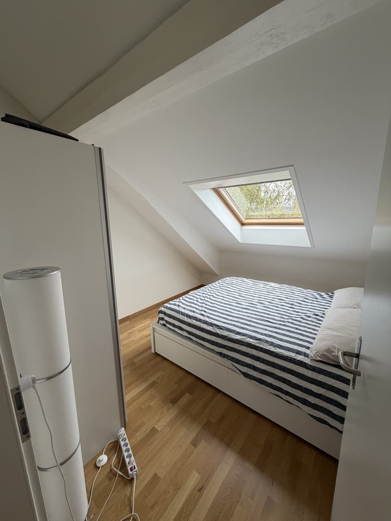 2.5 Room Apartment in Wallisellen - Furniture for Sale (8)