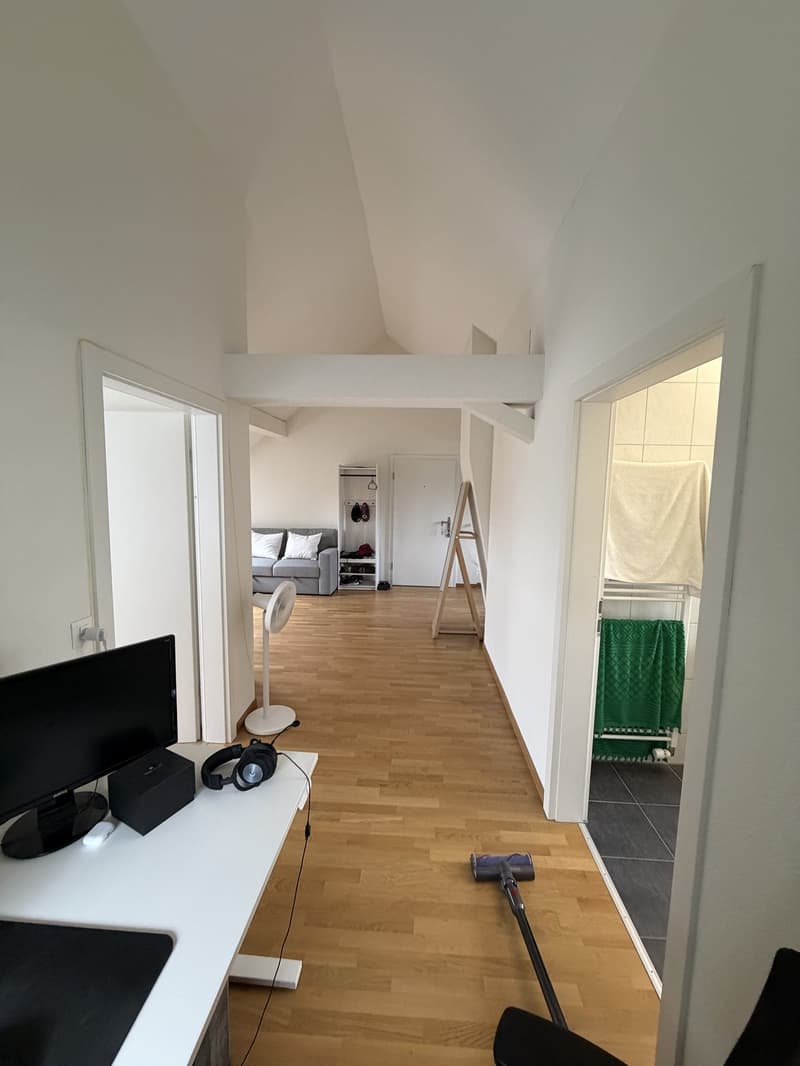 2.5 Room Apartment in Wallisellen - Furniture for Sale (10)
