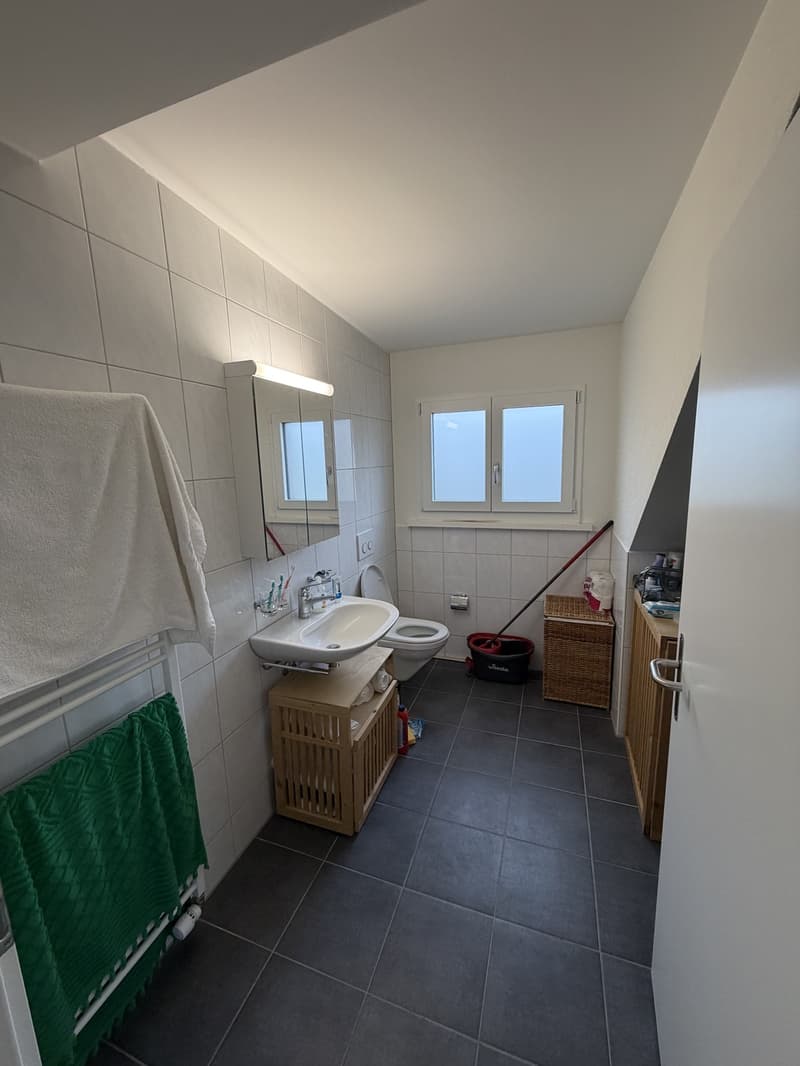 2.5 Room Apartment in Wallisellen - Furniture for Sale (11)