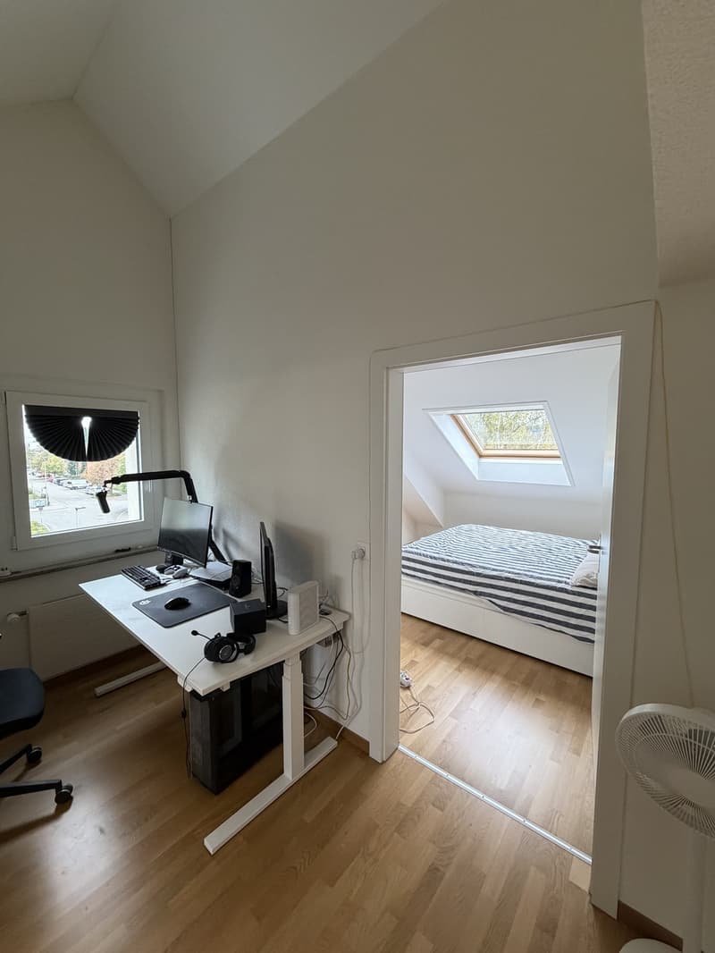 2.5 Room Apartment in Wallisellen - Furniture for Sale (7)