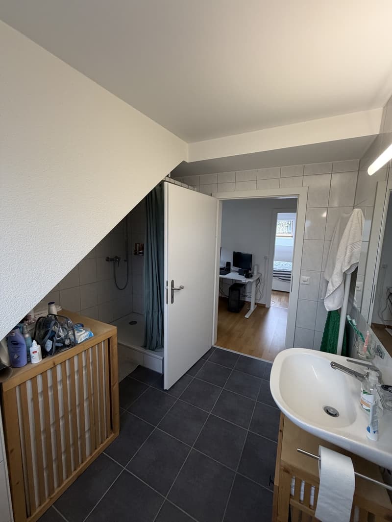2.5 Room Apartment in Wallisellen - Furniture for Sale (12)