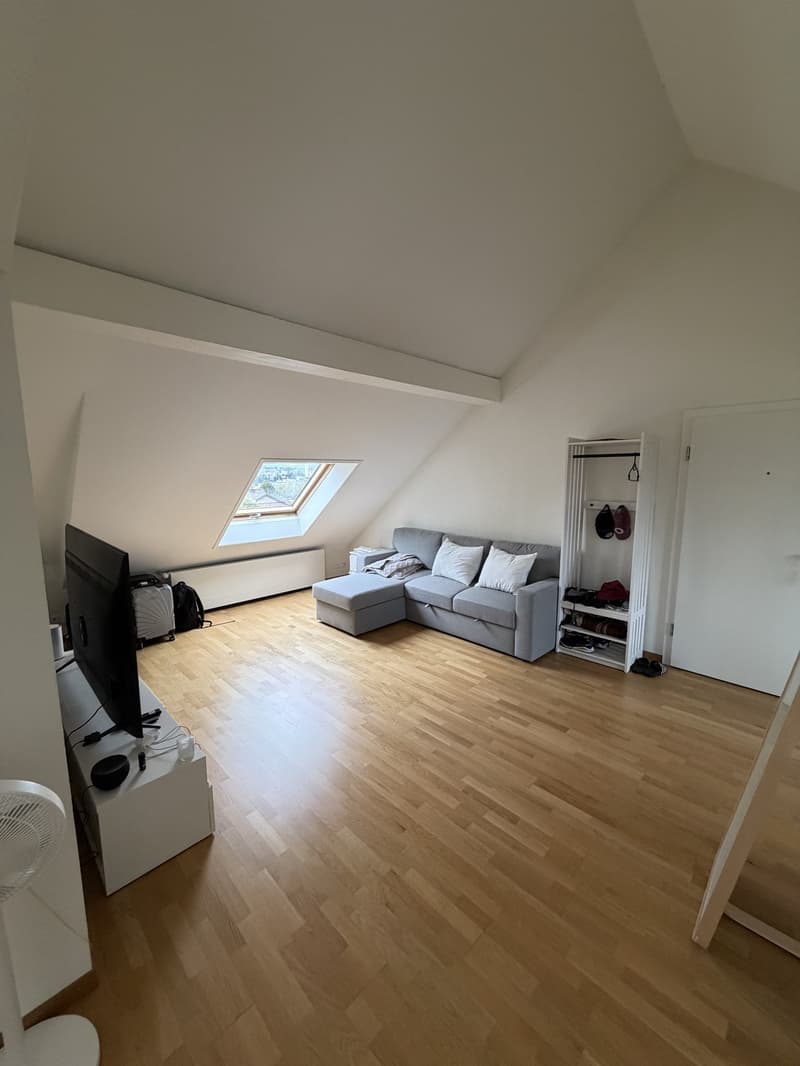 2.5 Room Apartment in Wallisellen - Furniture for Sale (3)