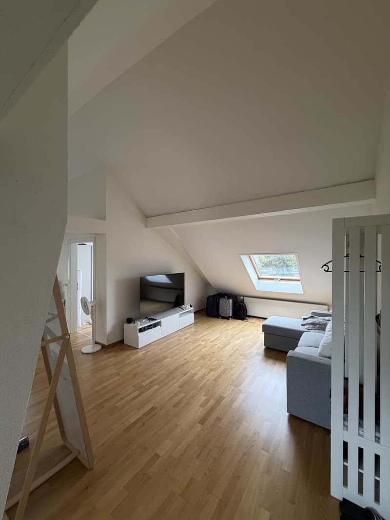 2.5 Room Apartment in Wallisellen - Furniture for Sale (1)